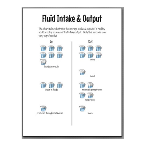 Fluid Input/Output handout
