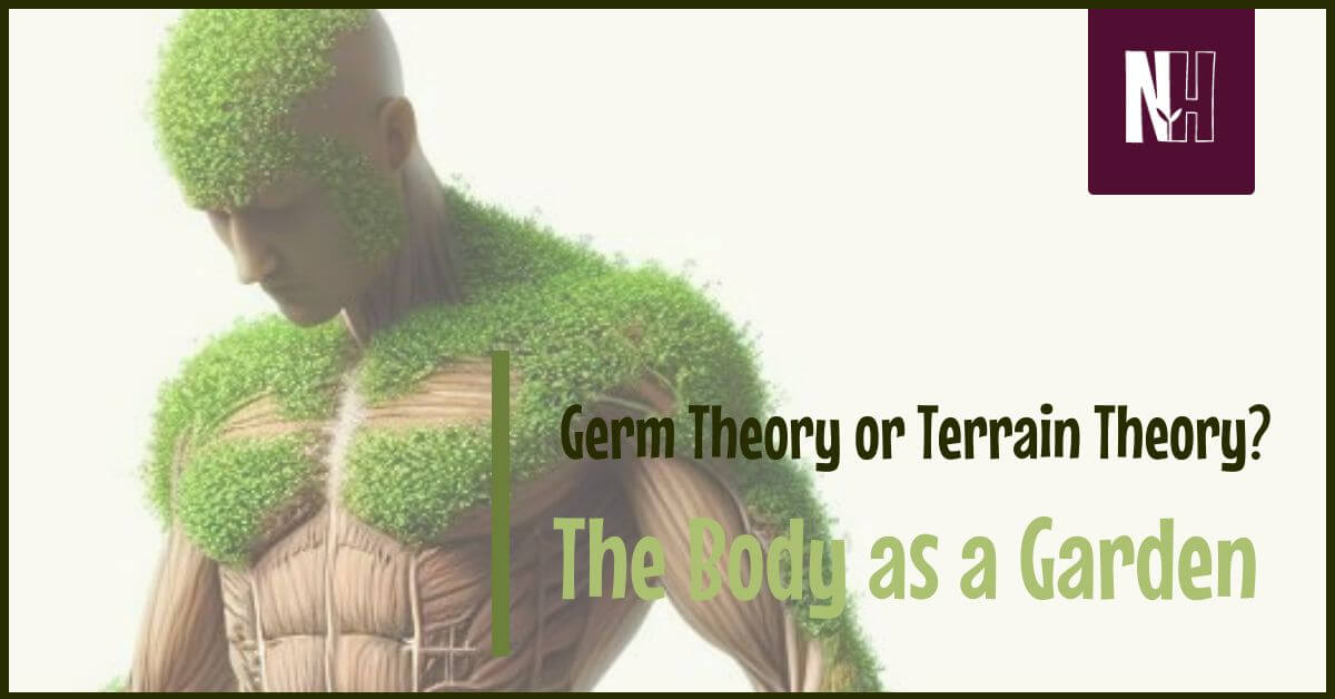 Germ Theory or Terrain Theory? The Body as a Garden - horizontal title image